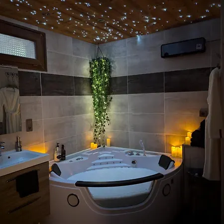 Les Myrtilles, Au Pied Des Pistes Apartment *