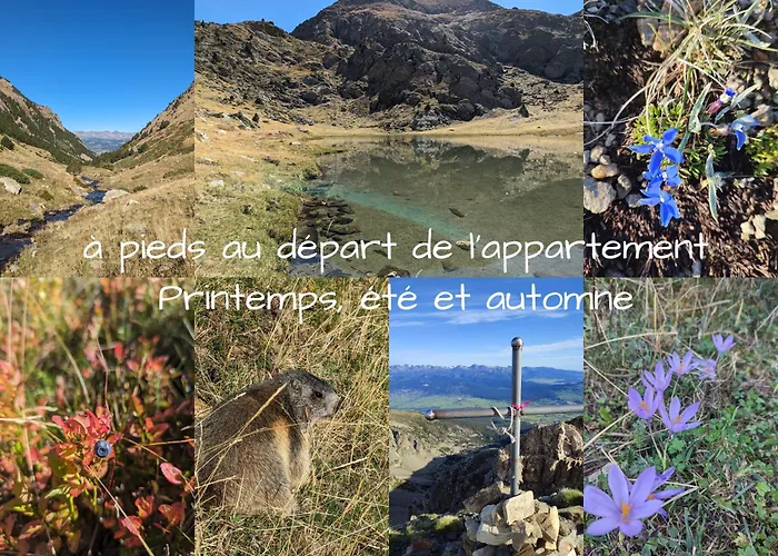Apartamento Les Myrtilles, Au Pied Des Pistes Saint-Pierre-dels-Forcats